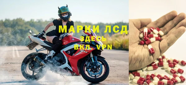 мяу мяу мука Медвежьегорск