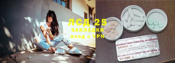крисы Алексин
