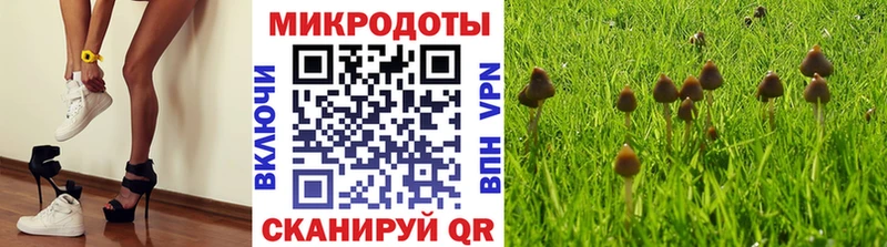 Галлюциногенные грибы Magic Shrooms  где купить наркоту  Северская 